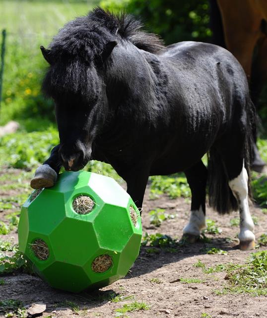 Feed Ball Hay Play Green