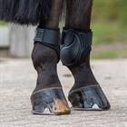 Fetlock Boots QHP Champ Black