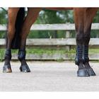 Fetlock Boots QHP Champ Black