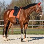 Fetlock Boots QHP Menton Orange