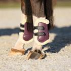 Fetlock Boots QHP Menton Purple