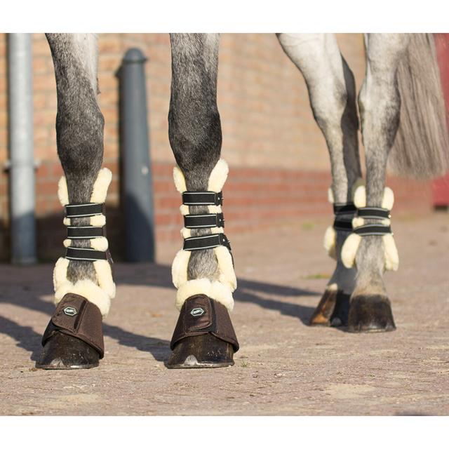 Fetlock Boots QHP Ontario Brown