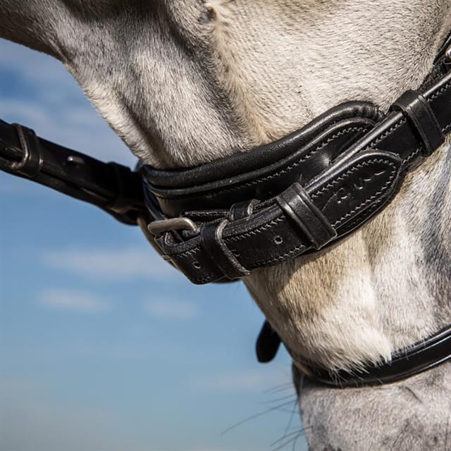 Flash Strap Dy'on Dressage Collection Black