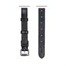 Flash Strap Dy'on Dressage Collection Black