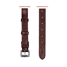 Flash Strap Dy'on Dressage Collection Brown