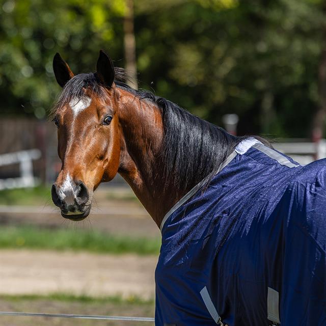 Fly Rug Epplejeck 2.0 Dark Blue-Silver