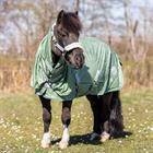 Fly Rug Epplejeck EJLes Fleurs Green