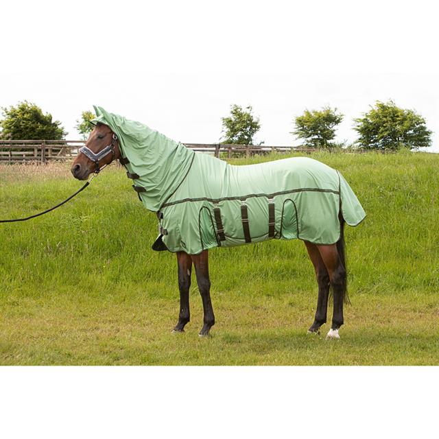 Fly Rug Harry's Horse Mesh-Pro Belly Light Green