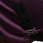 Fly Rug with Neck 2.0 Athletic Epplejeck Purple