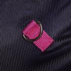 Fly Rug with Neck 2.0 Junior Epplejeck Dark Blue-Pink