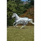 Fly Sheet Bucas Buzz-Off Rain Zebra With Neck Zebra