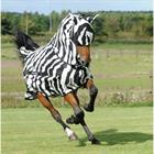 Fly Sheet Bucas Buzz-Off Zebra Full Neck Zebra