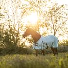 Fly Sheet Epplejeck Summertime Full Neck Grey-Blue