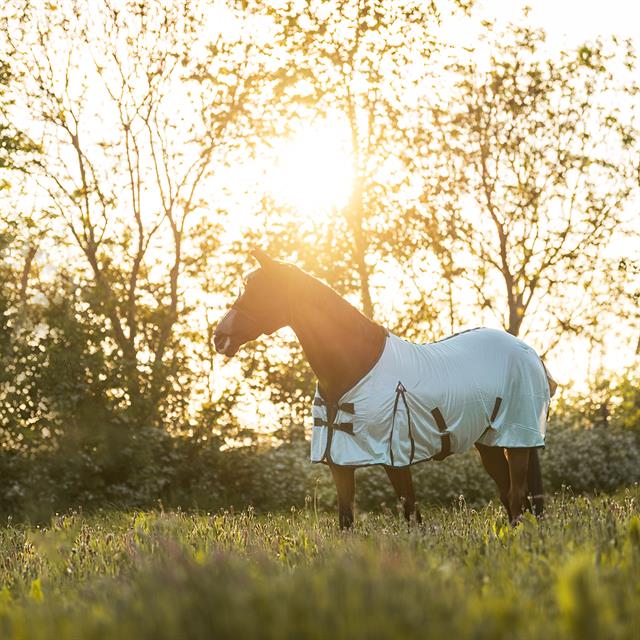 Fly Sheet Epplejeck Summertime Full Neck Grey-Blue