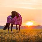 Fly Sheet Epplejeck Summertime Full Neck Pink