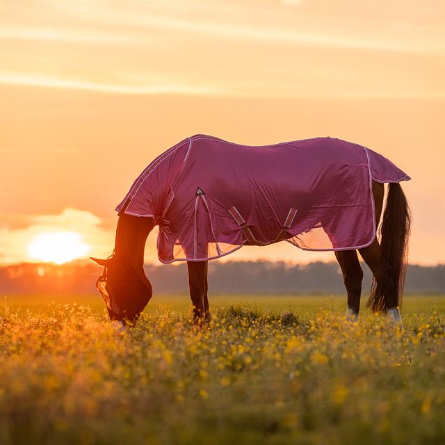 Fly Sheet Epplejeck Summertime Full Neck Pink