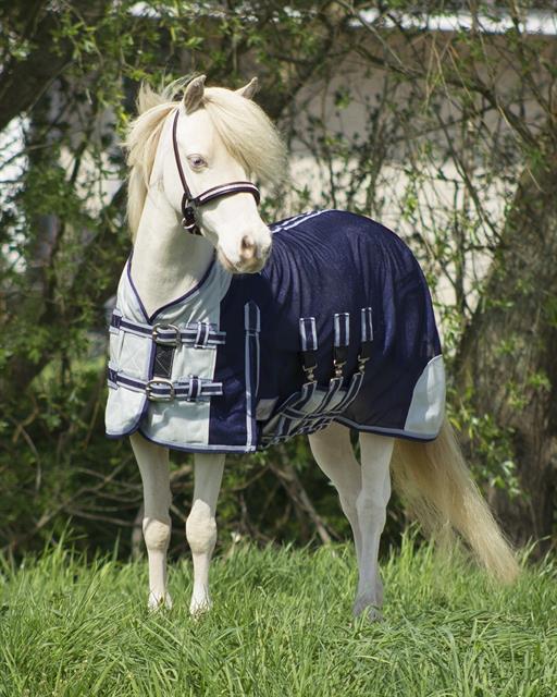Fly Sheet QHP Falabella Blue