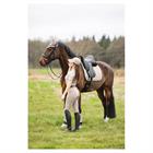 Fly Veil ANKY 3C Beige