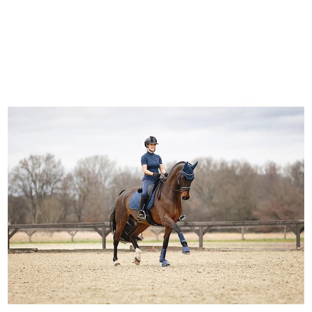Fly Veil ANKY 3C Dark Blue