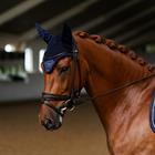 Fly Veil Equestrian Stockholm Modern Lagoon Blush Dark Blue