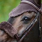 Fly Veil Kentucky Brown