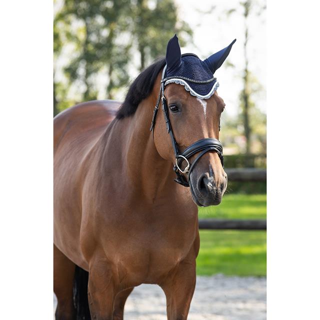 Fly Veil QHP Colour Dark Blue