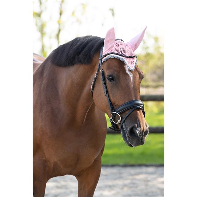 Fly Veil QHP Colour Pink