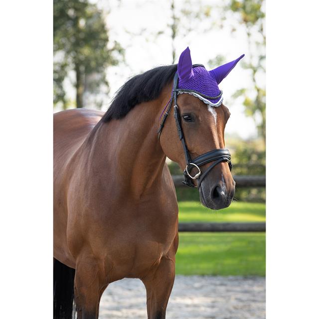 Fly Veil QHP Colour Purple