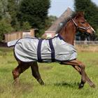 Foal Fly Rug QHP Grey