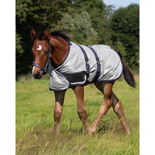 Foal Fly Rug QHP Grey