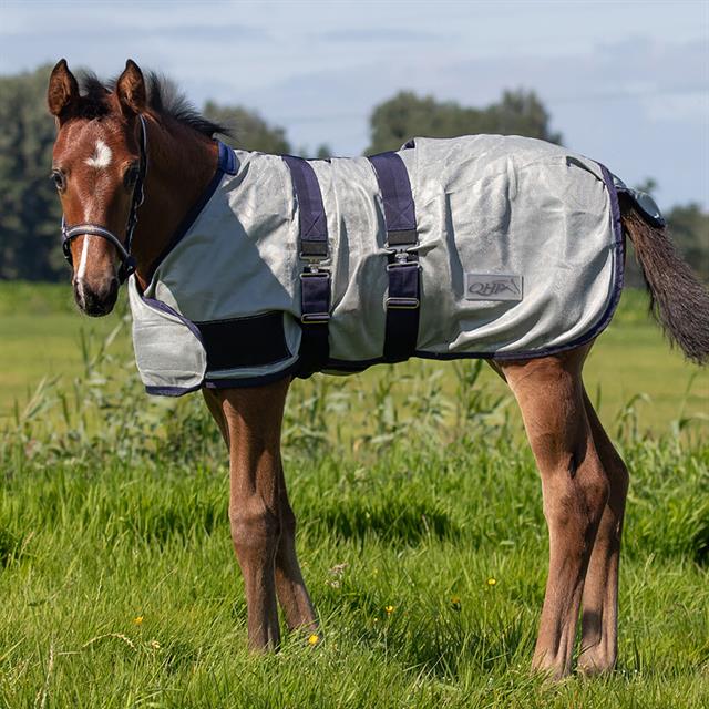 Foal Fly Rug QHP Grey