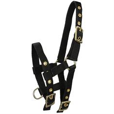 Foal Halter Barato Mini Black