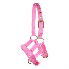 Foal Halter Barato Mini Pink