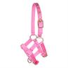 Foal Halter Barato Mini Pink