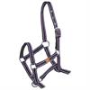 Foal Halter Epplejeck EJEasy Grey