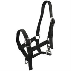 Foal Halter Harry's Horse Black