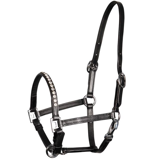 Foal Halter Harry's Horse Crystal Black