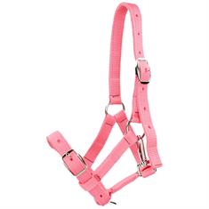 Foal Halter Harry's Horse Pink