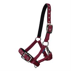 Foal Halter Norton Respirant Red