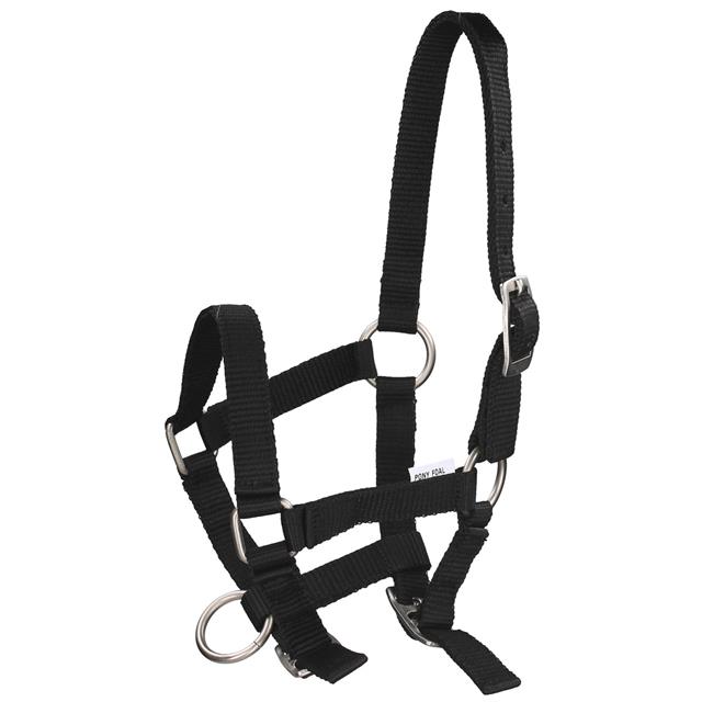 Foal Halter Q-Essentials Mini Black