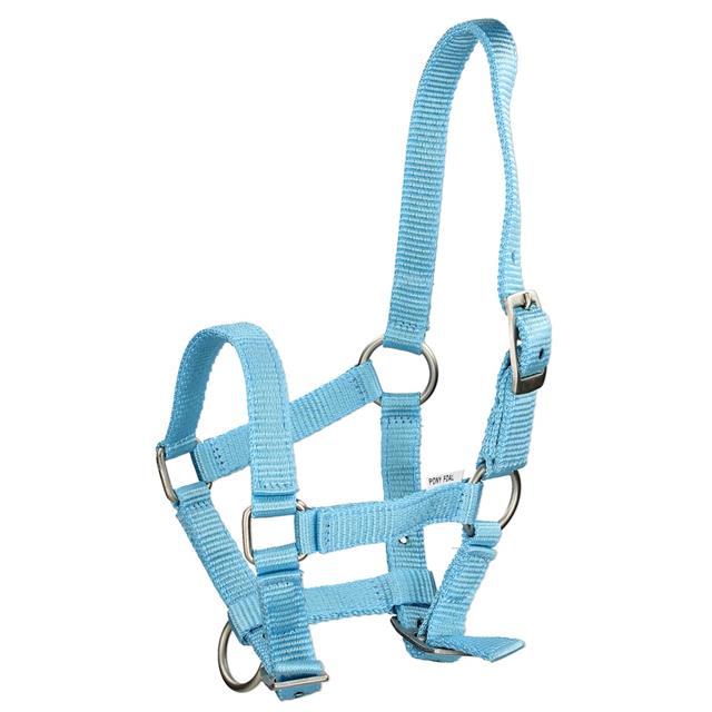 Foal Halter Q-Essentials Mini Blue