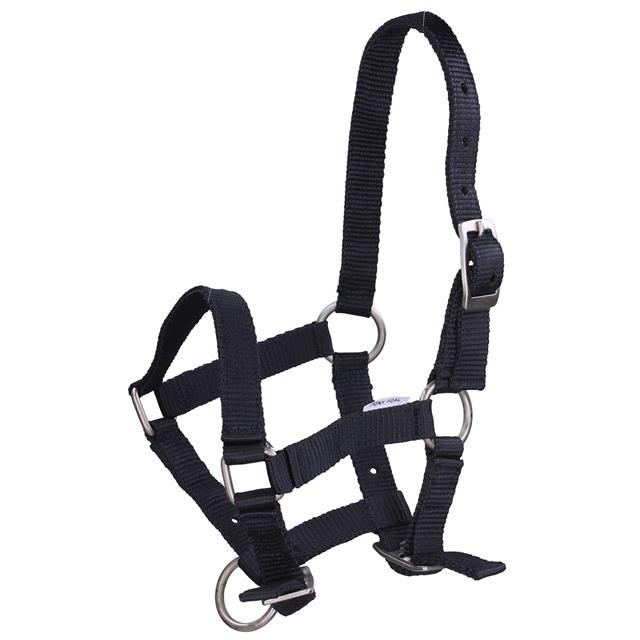 Foal Halter Q-Essentials Mini Dark Blue