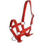Foal Halter Q-Essentials Mini Red