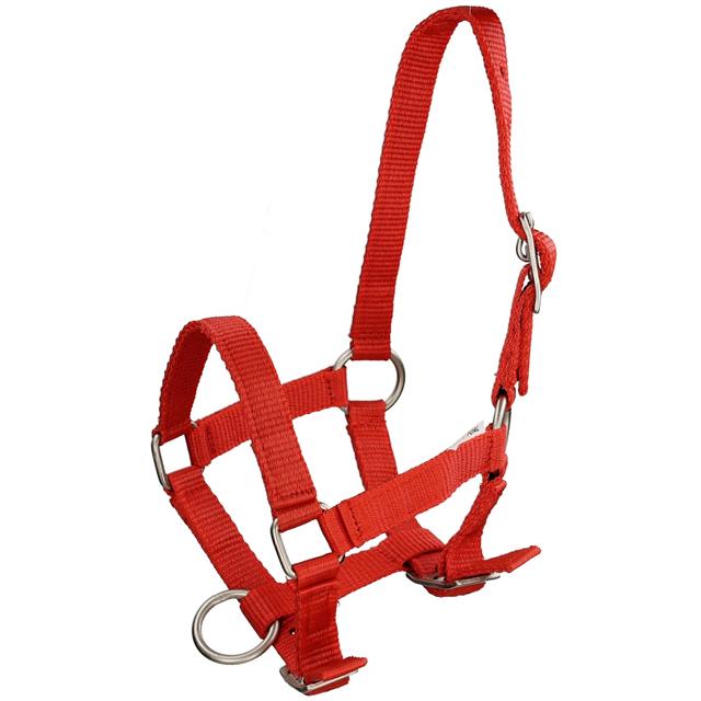 Foal Halter Q-Essentials Mini Red