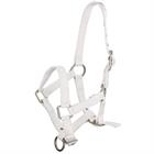 Foal Halter Q-Essentials Mini White