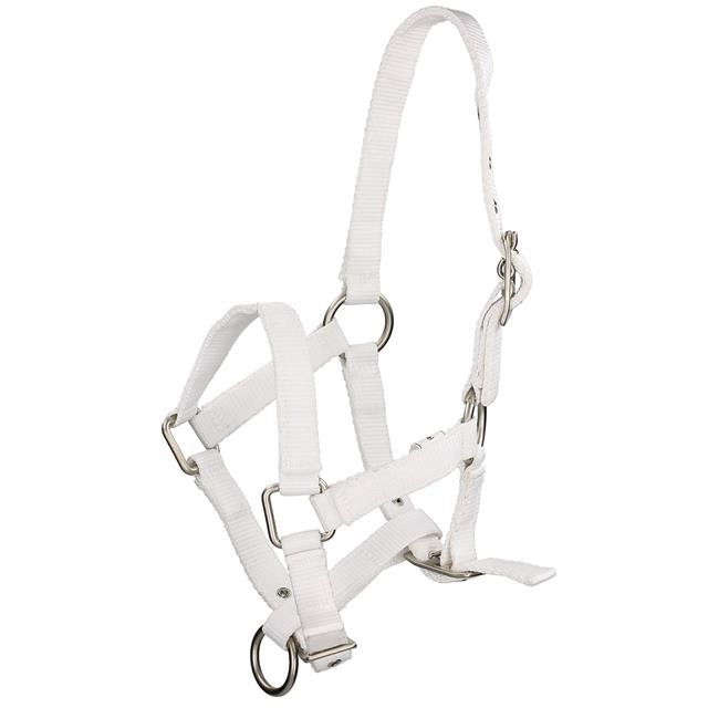 Foal Halter Q-Essentials Mini White