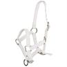Foal Halter Q-Essentials Mini White