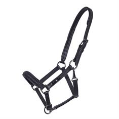 Foal Halter QHP Leather Shimmer Black