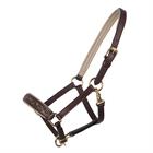 Foal Halter QHP Lupine Leather Mid Brown-Beige