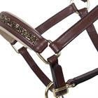 Foal Halter QHP Lupine Leather Mid Brown-Beige